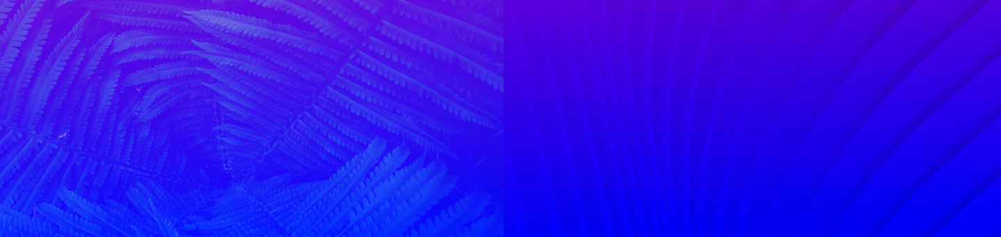 (c) Hiflow.ch
